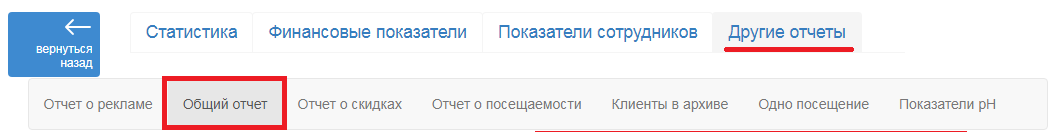 Otchet obshhii.png